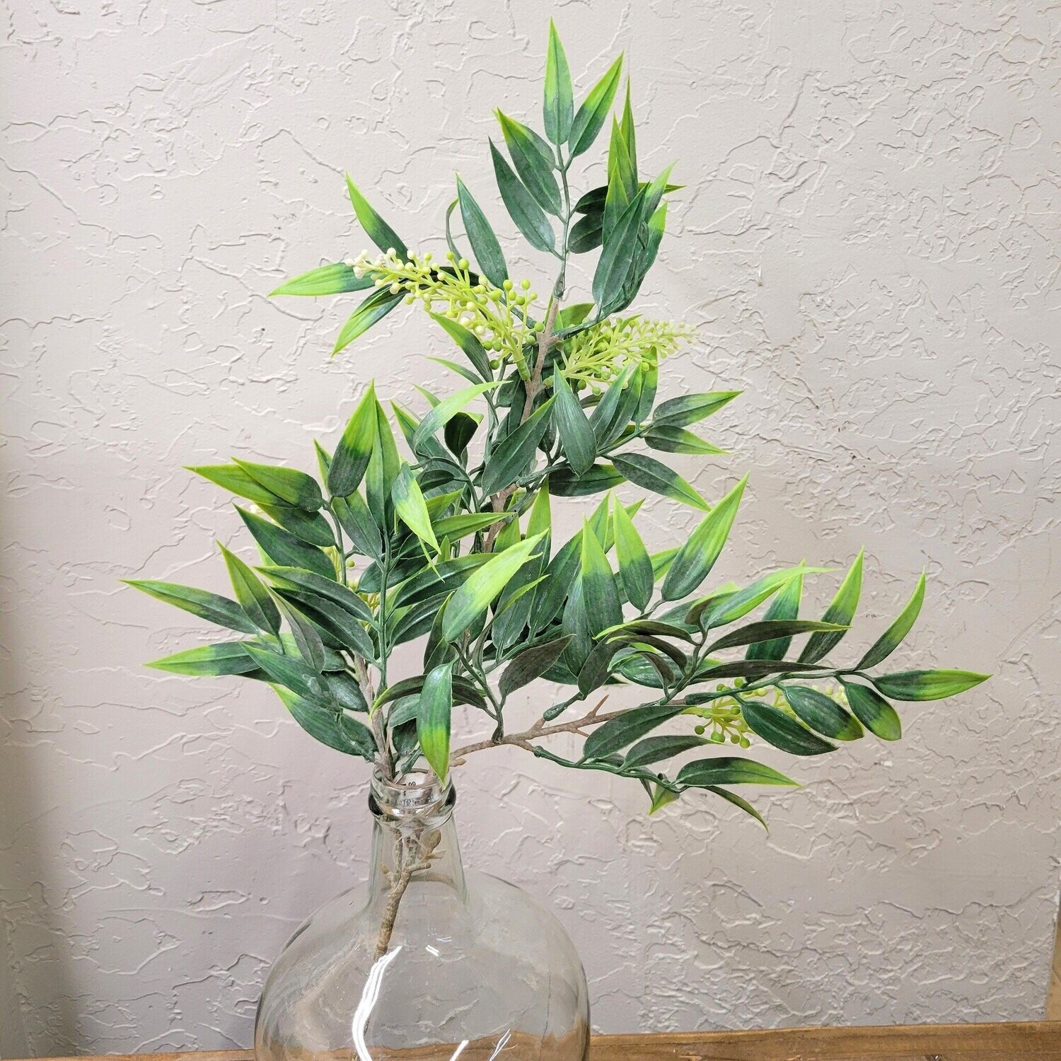 25&quot; Italian Ruscus With Seeds