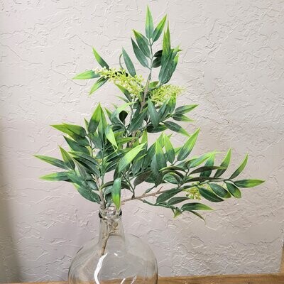 25&quot; Italian Ruscus With Seeds