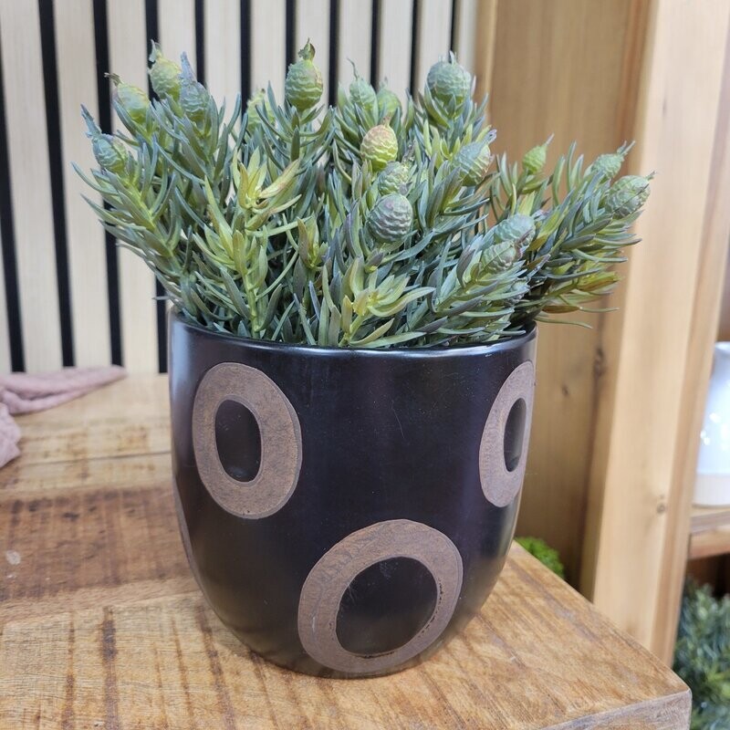 Black Planter With Circles 5&quot;