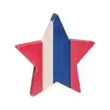 Red, White &amp; Blue Plank Star, Lg