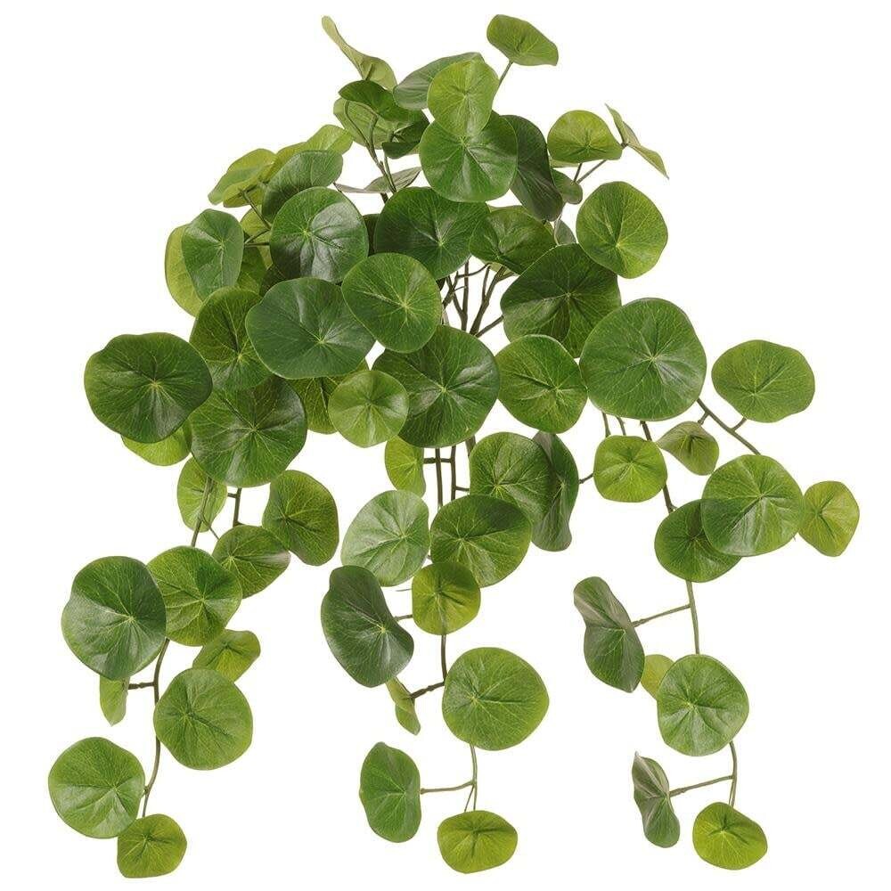 20&quot; Stephania Bush