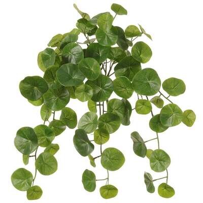 20&quot; Stephania Bush