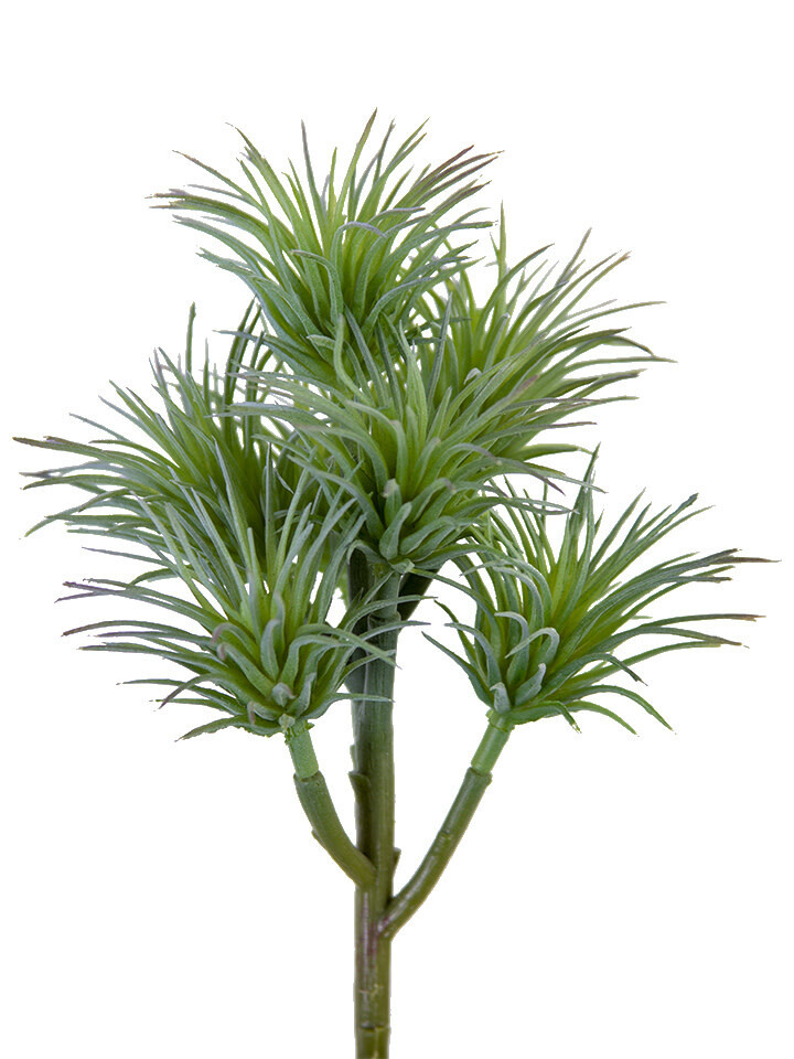 8&quot; Tillandsia Pick