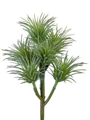 8&quot; Tillandsia Pick