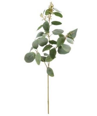 Eucalyptus Spray 40&quot;