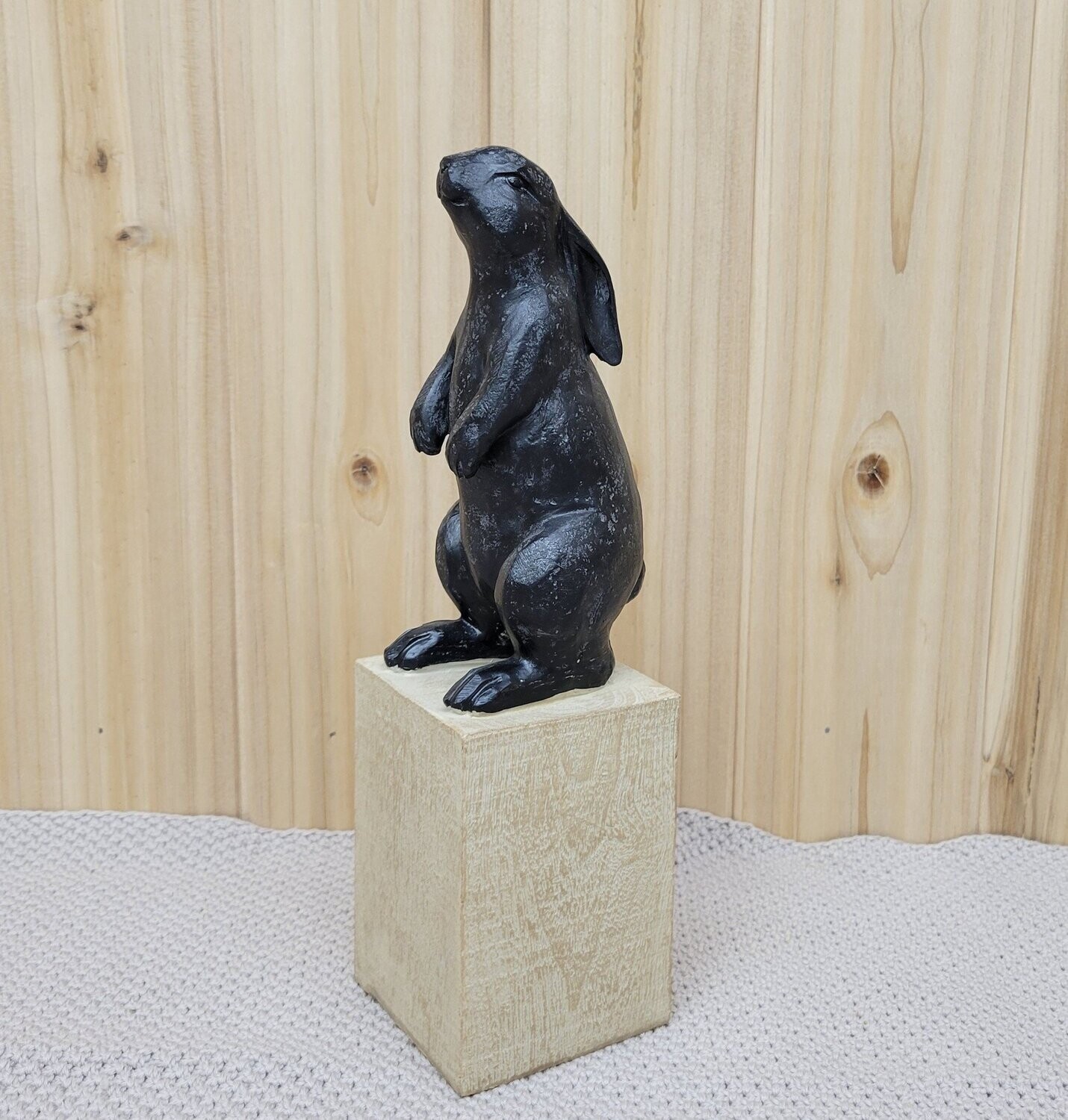 Bunny On Block, 9.5