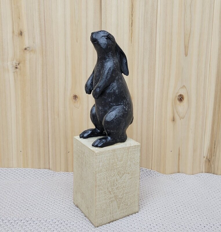 Bunny On Block, 9.5