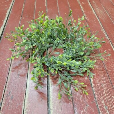 Basil Boxwood Candle Ring