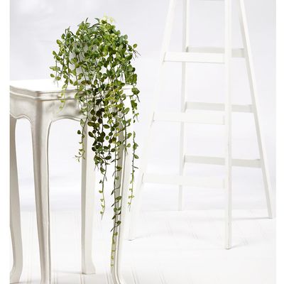 Button Leaf Hanging Bush, 39&quot;