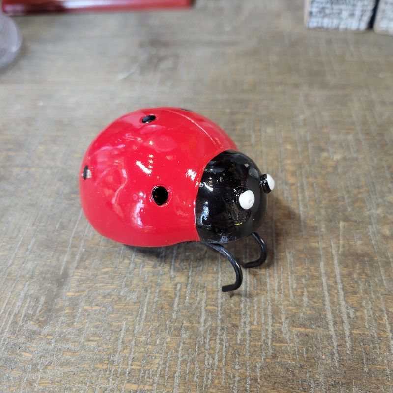 Bug Pot Hanger, Assorted: Ladybug