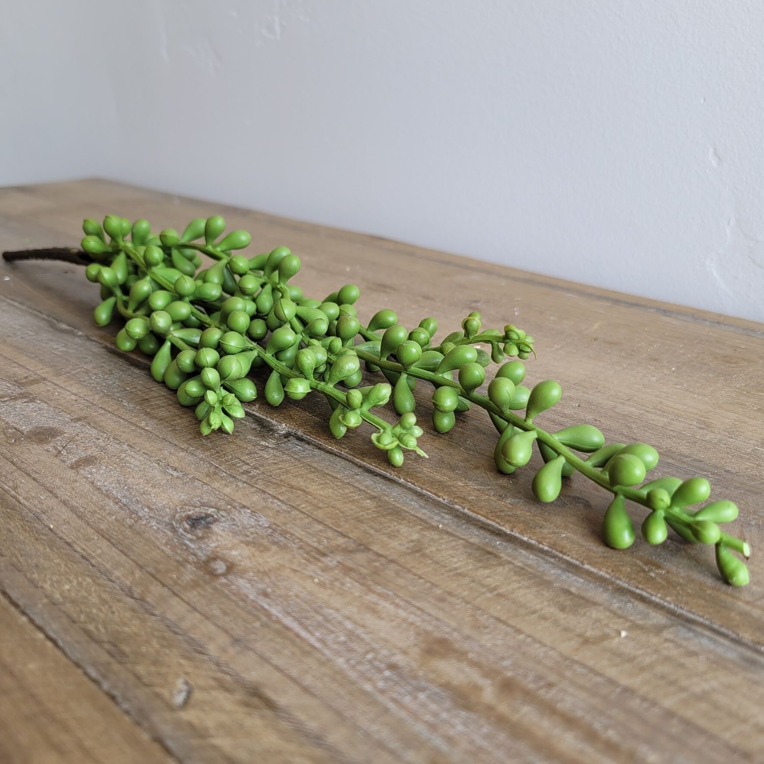 String Of Pearls Succulent, 13&quot;