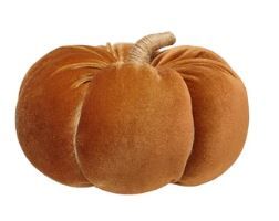 Medium Saddle Velvet Pumpkin