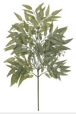 17&quot;Asian Bayberry Leaf