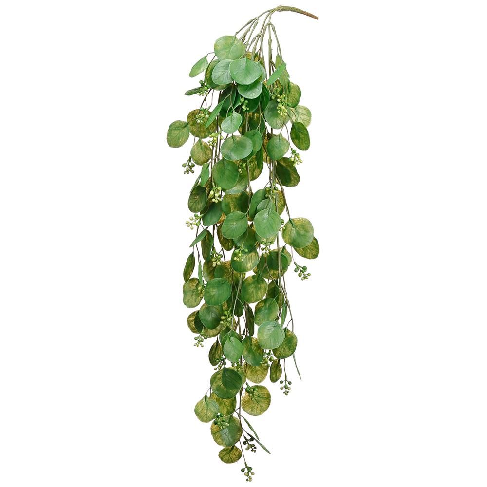 28&quot; Round Eucalyptus Hanging