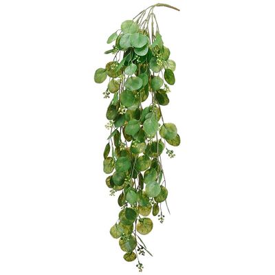 28&quot; Round Eucalyptus Hanging