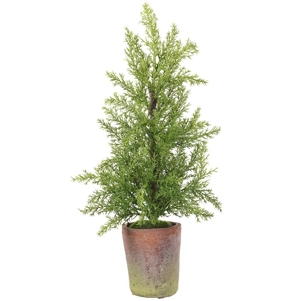 Cedar Tree In Mango Planter 19&quot;