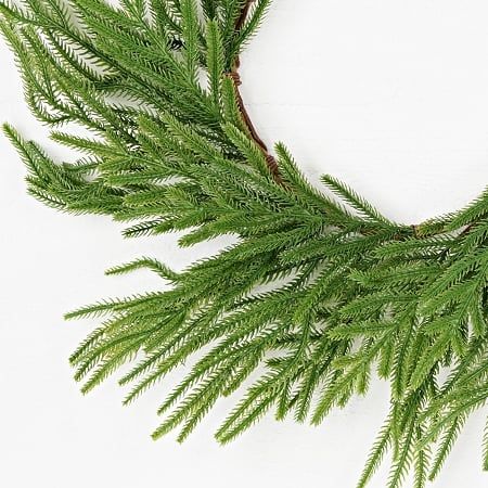 Evergreen Fraser Fir Wreath 24&quot;
