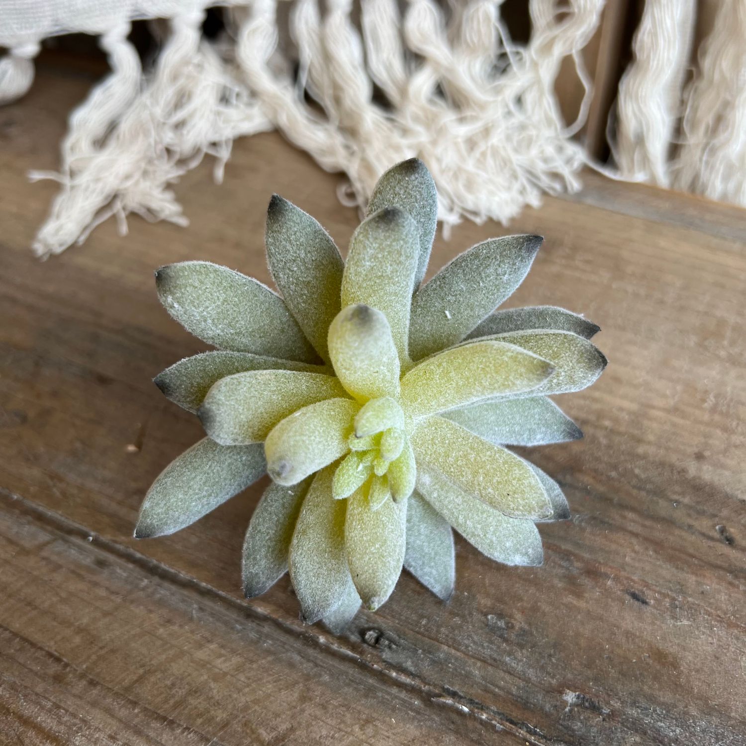 Green Agave Pick, 4&quot;