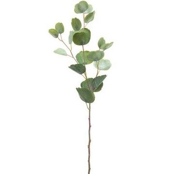 Cotinus Leaf Spray 26.75&quot;