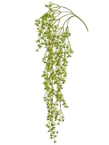 Berry Vine 32&#39;&#39;