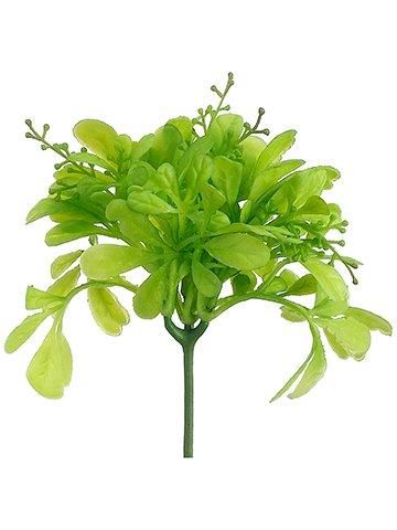 8&quot; Soft Dorata Leaf Pick