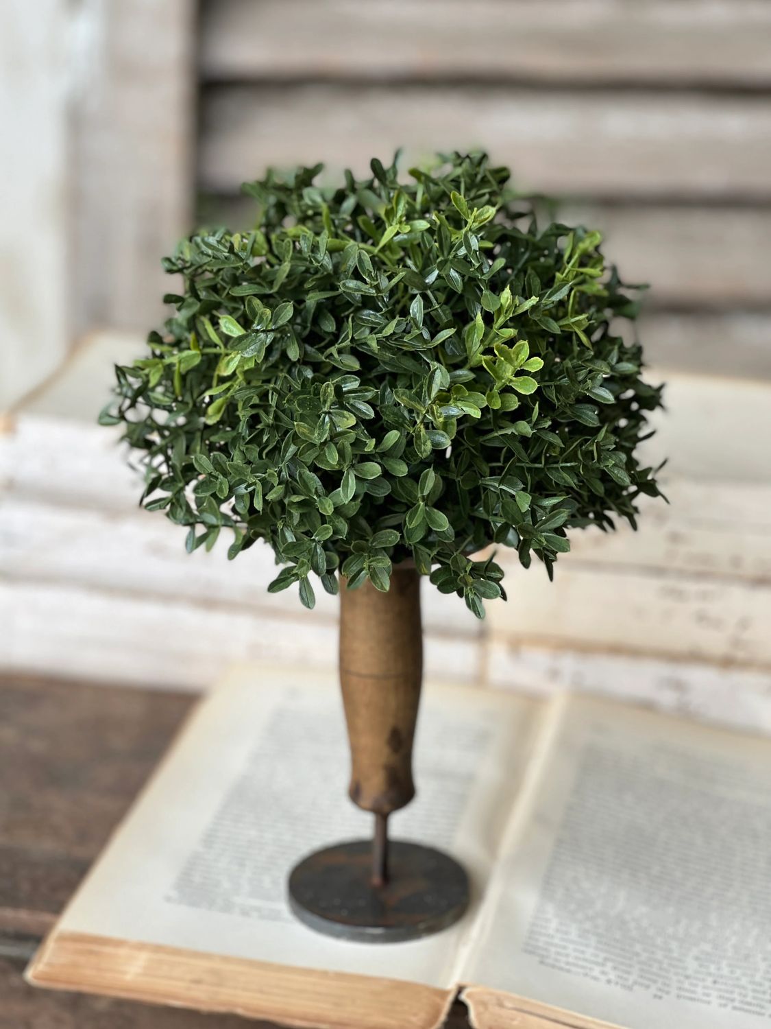 Boxwood Half Sphere 8.5&quot;