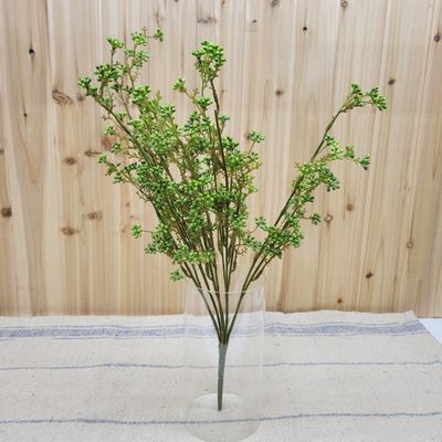 Berry Bush, 21&#39;&#39;