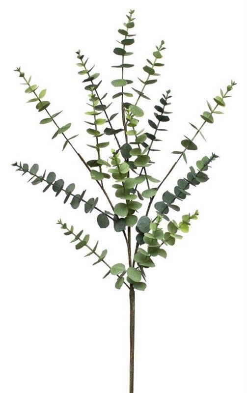 Eucalyptus Spray 36.75&quot;