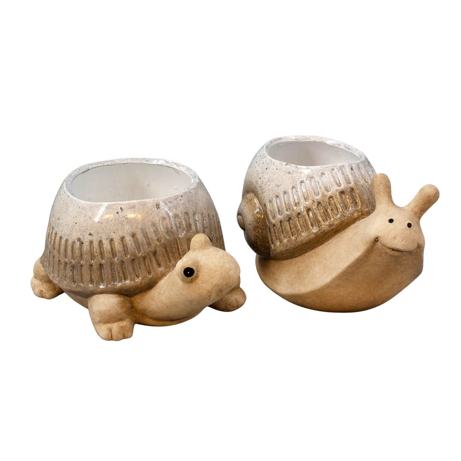 Porcelain Snail