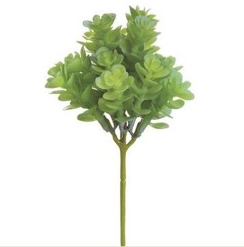 Sedum Spray 7.5&quot;