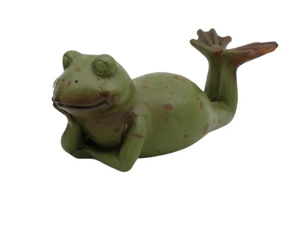 Relaxing Garden Frog Laying