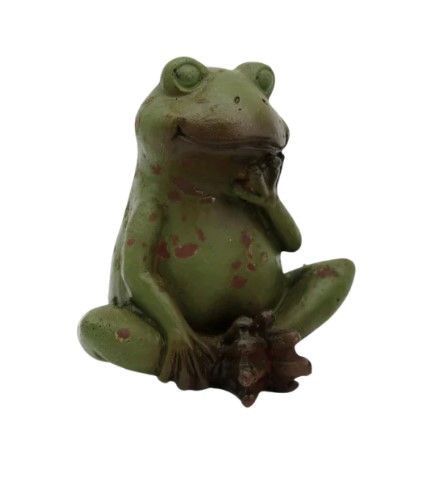 Relaxing Garden Frog Sitting