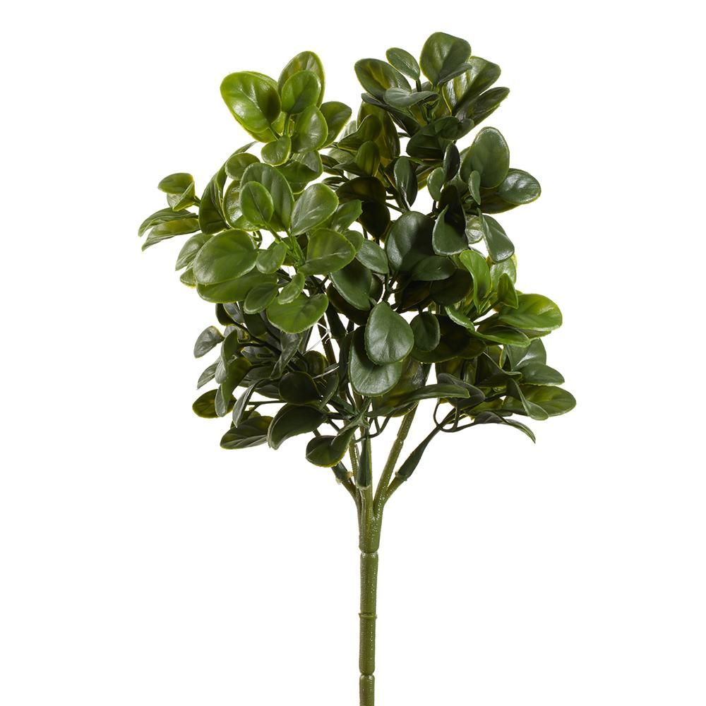 Privet Bush Green 10&quot;