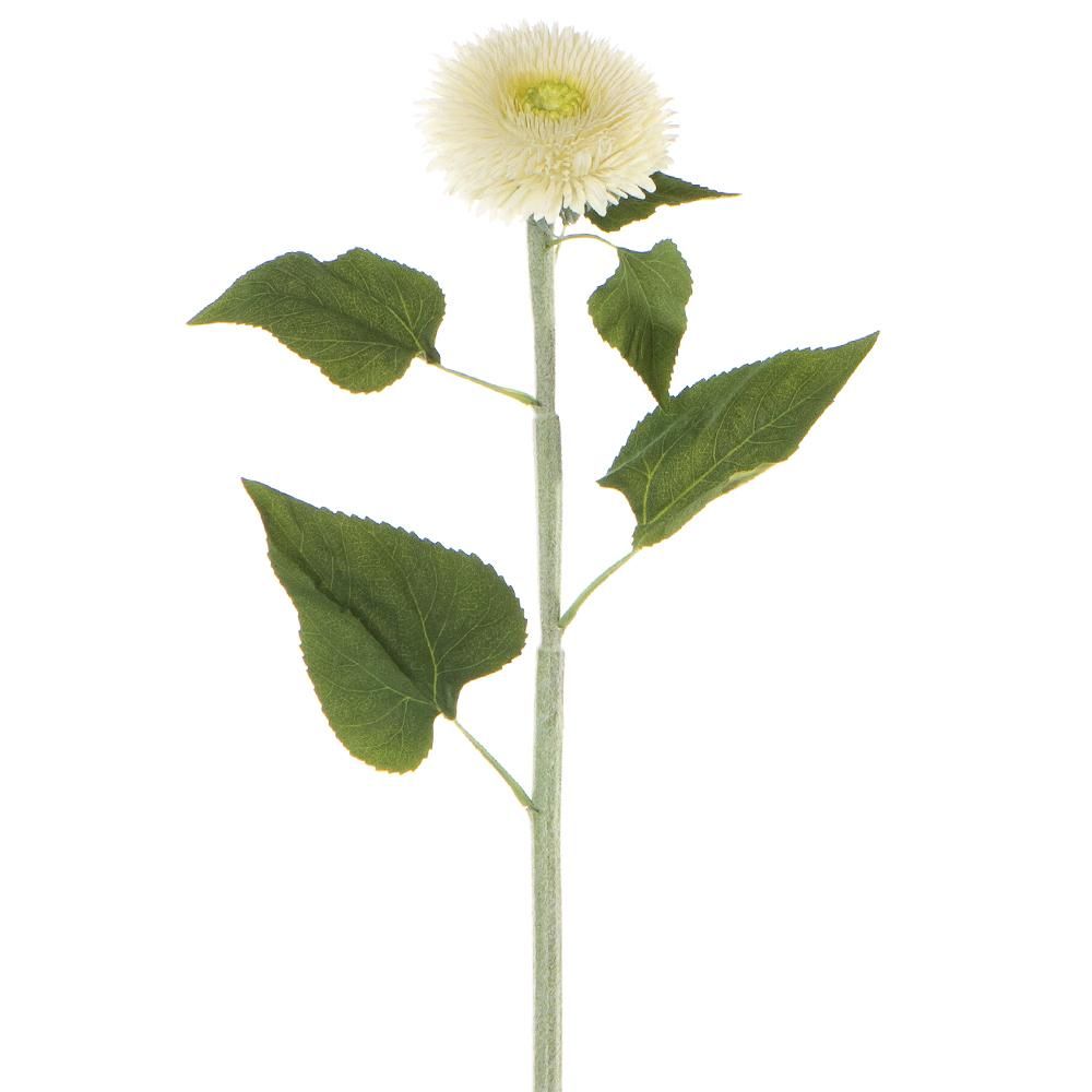 Teddy Bear Sunflower Spray White 39.5&quot;