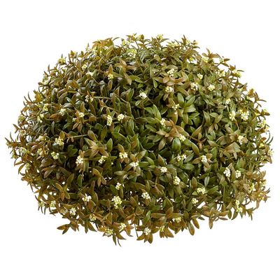 Myrtle Half Ball 11&quot;