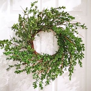 Boxwood Wreath 22&quot;