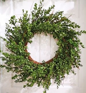 Boxwood Wreath 32&quot;