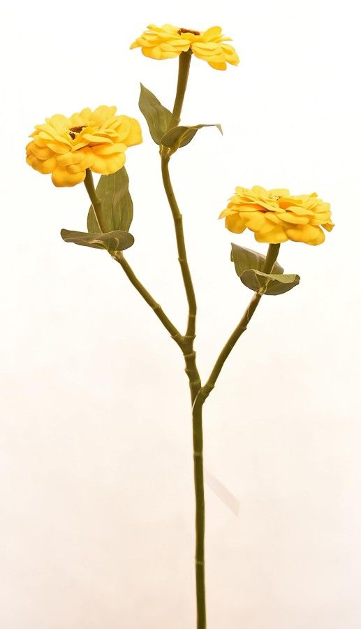 Zinnia Spray 24&quot; Yellow