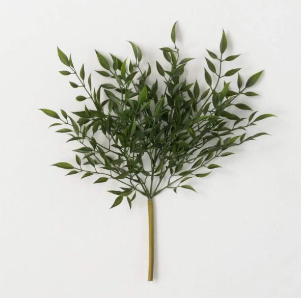 Italian Ruscus Bush 14&quot;