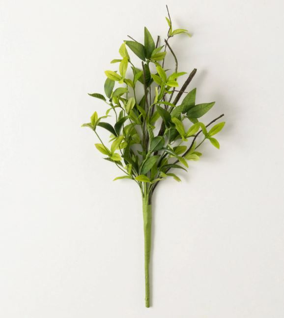Italian Ruscus Twig Pick 19&quot;