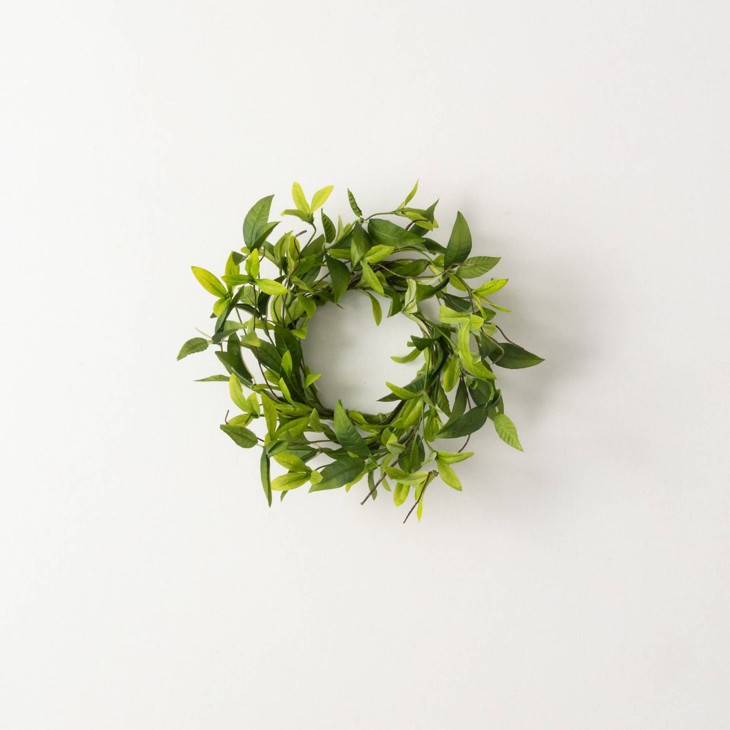 Italian Ruscus Twig Ring 12&quot;