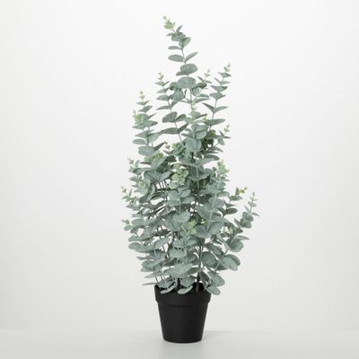 Potted Eucalyptus Tree 31.5&quot;