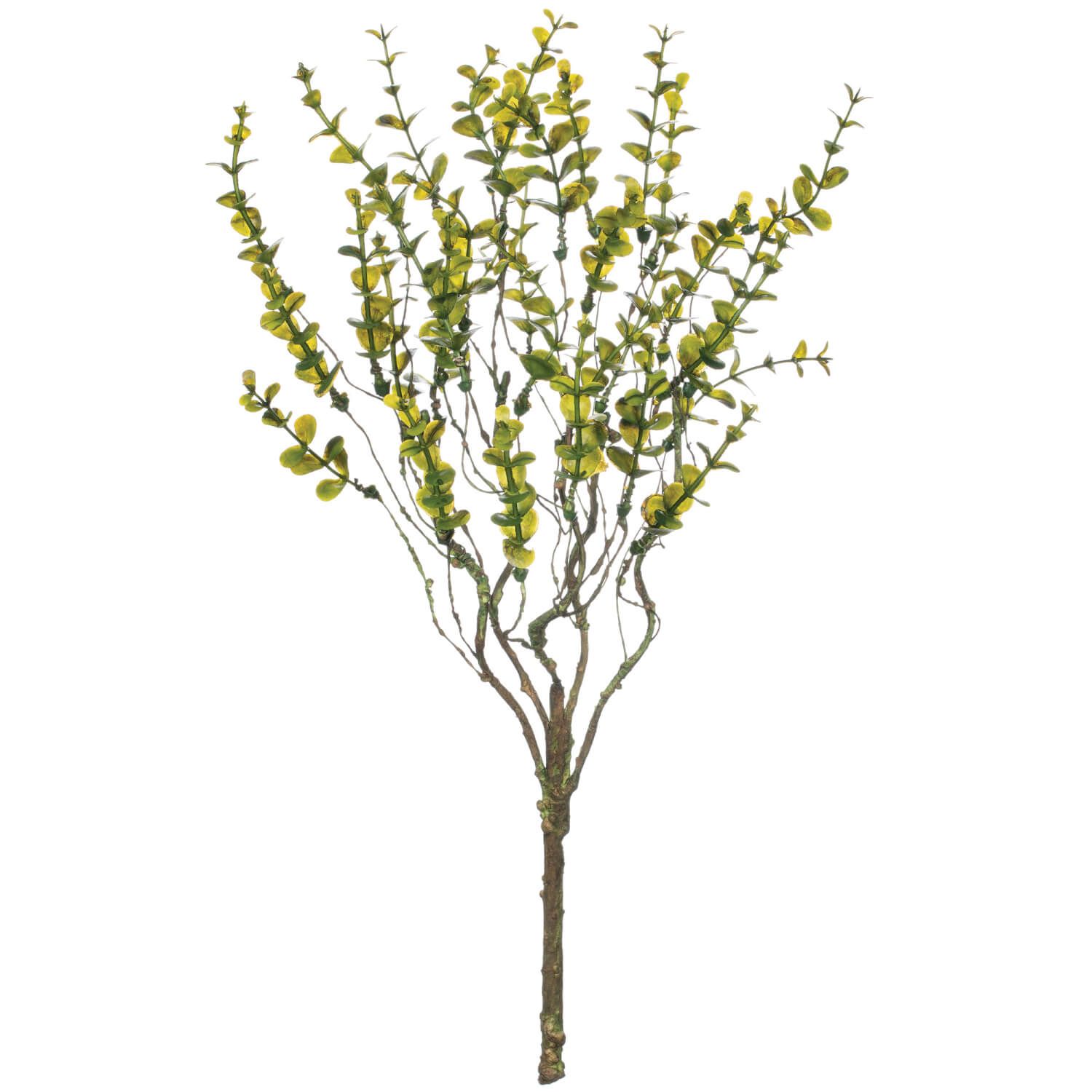 Leaves Bush 17.5&quot;