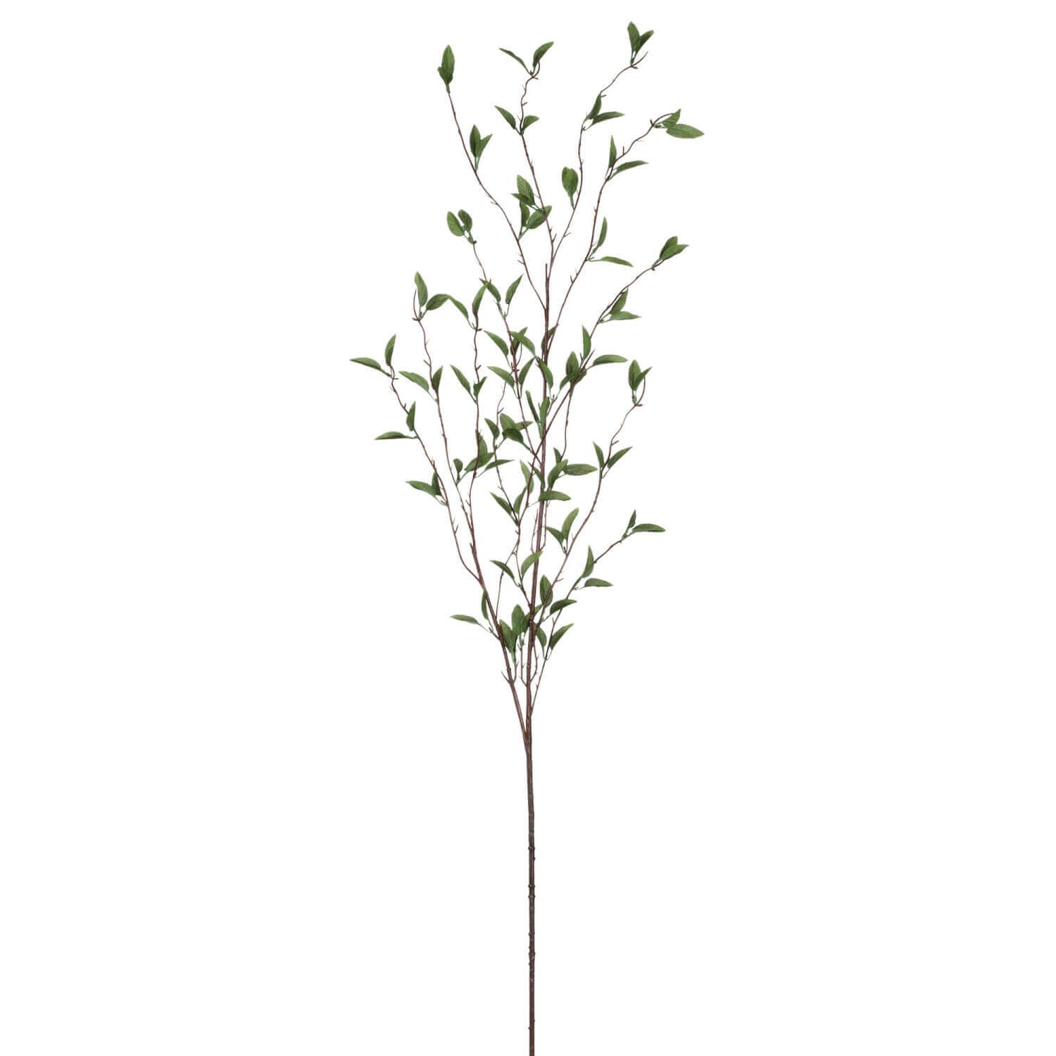 Foliage Branch 52&quot;