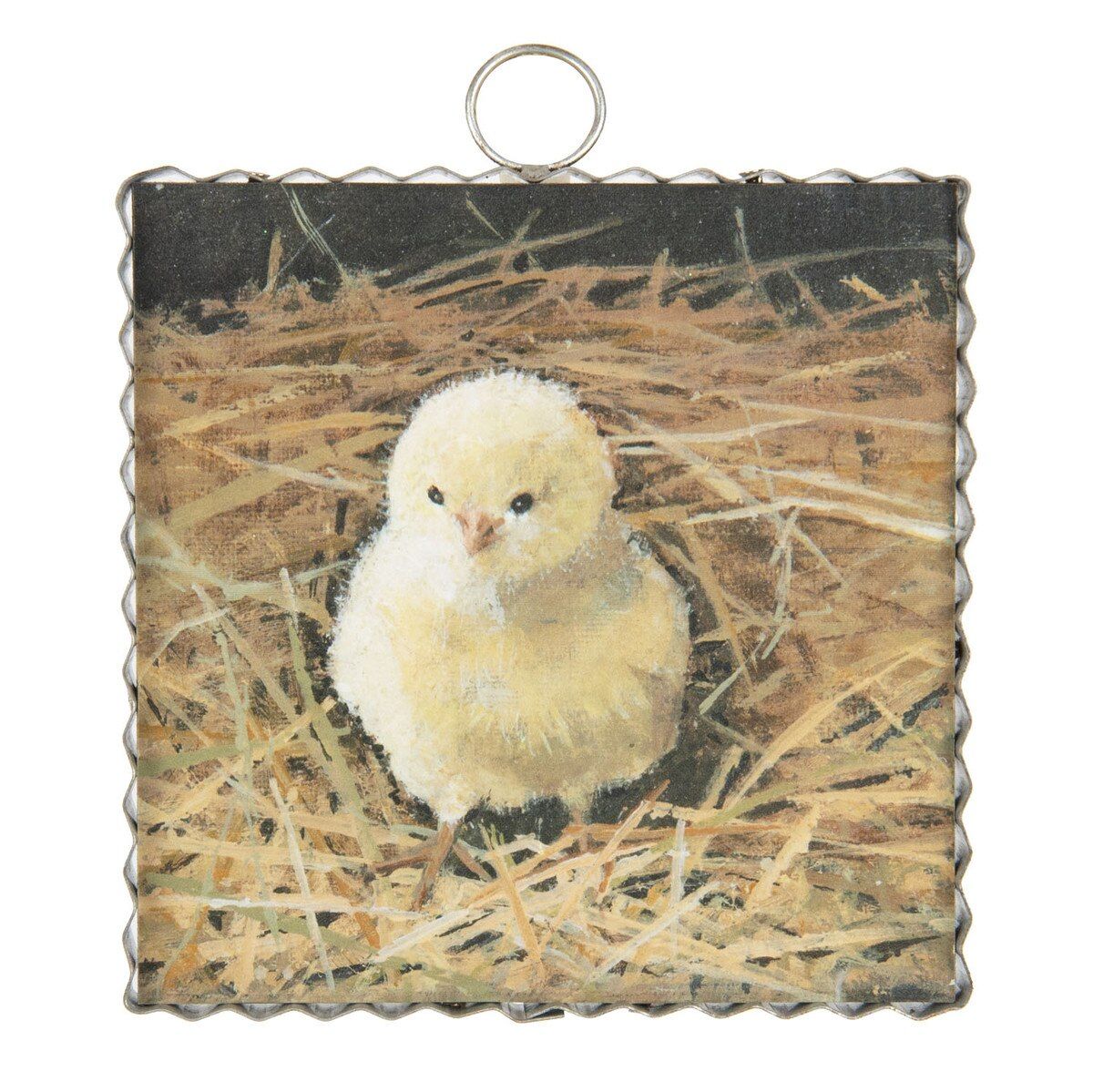 Mini Gallery Baby Chick