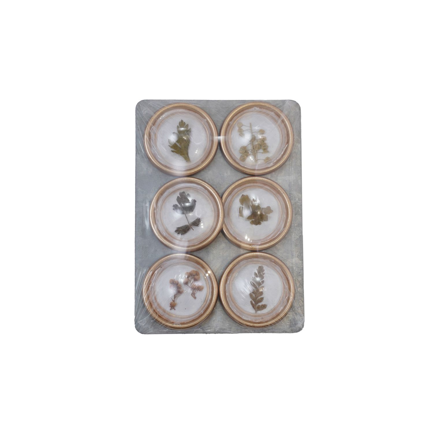 Metal Convex Botanicals Magnets SET6