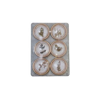 Metal Convex Botanicals Magnets SET6