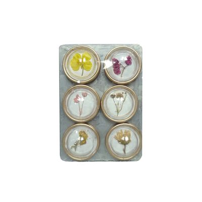 Metal Convex Dried Floral Magnets SET6