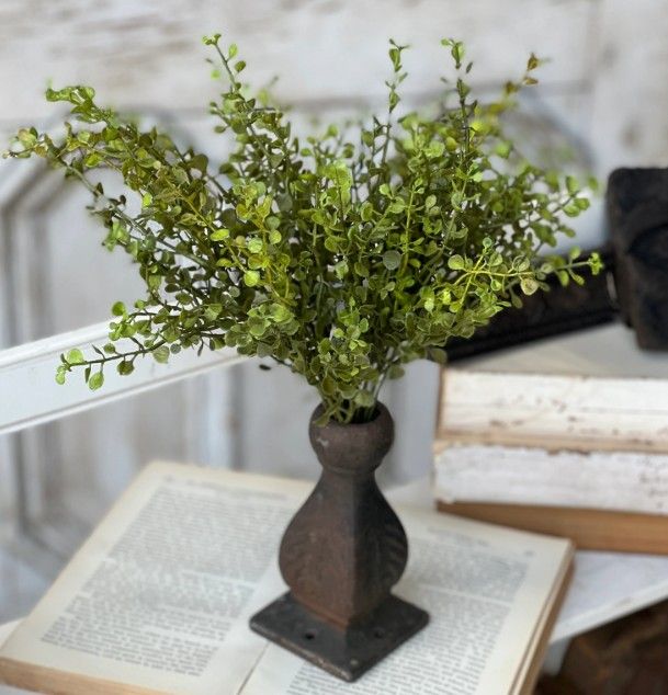 Baby Grass Bush 14&quot;