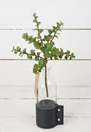 Boxwood Succulent 13&quot;